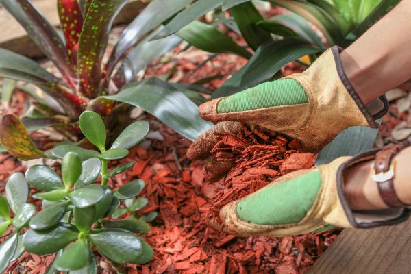 Residential Mulching in Yakima