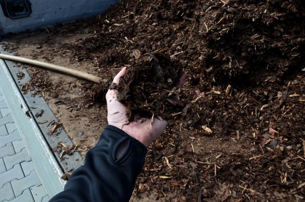 Condo Mulching in Yakima