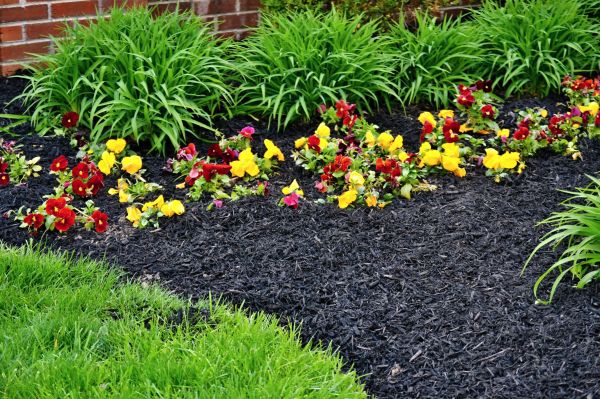 Apartment Mulching in Yakima