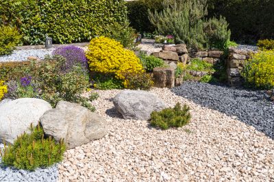Decorative Rock Garden